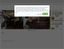 Tablet Screenshot of michalpowalka.com